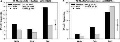 Proteomic Changes in Antioxidant System in Strawberry During Ripening